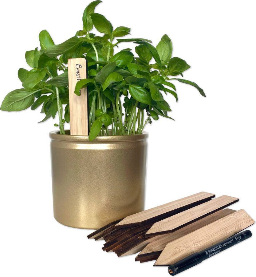 Planttools Plantlabel bamboe langwerpig 20 stuks Incl. watervaste Staedler marker Plantkaartjes plantenlabels plantenstekers moestuinbordjes plantstekers plantenetiket voor in de tuin