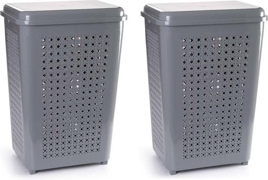 PLASTICFORTE 2x stuks grote wasmand opberg mand met deksel 50 liter in het grijs Kunststof 41 x 31 x 61 cm Wasmanden
