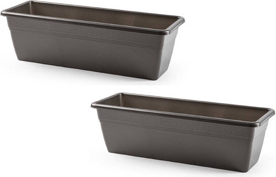 PLASTICFORTE 2x stuks plantenbak antraciet grijs rechthoekig 50 x 17 x 15 cm Bloembakken plantenbakken voor binnen buiten
