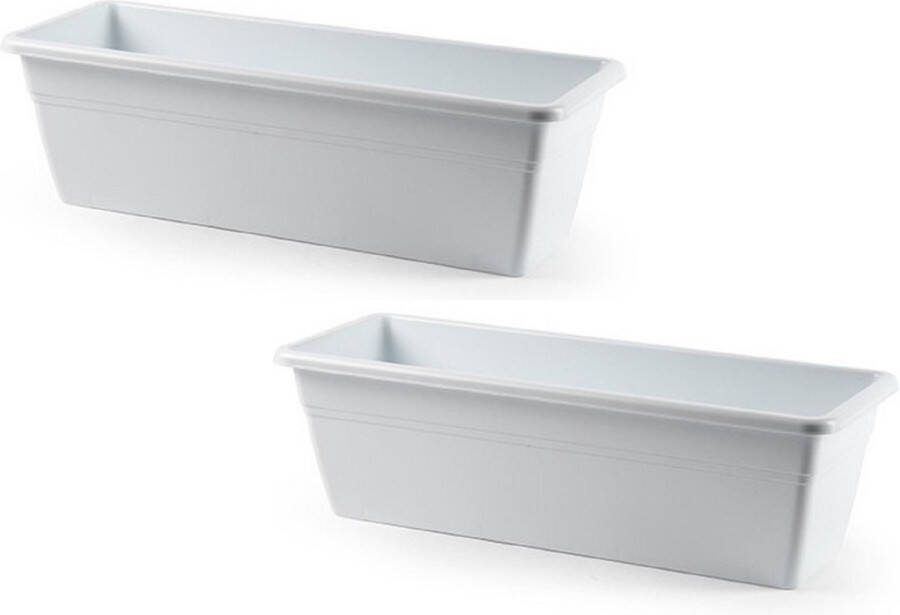 PLASTICFORTE 2x stuks plantenbak wit rechthoekig 50 x 17 x 15 cm Bloembakken plantenbakken voor binnen buiten