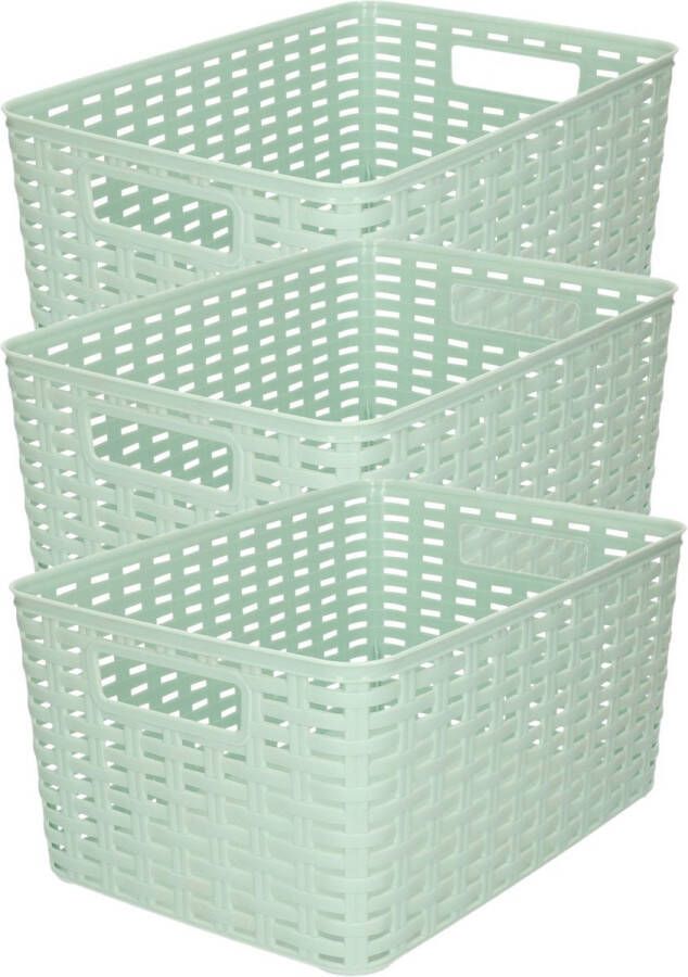 Forte Plastics 3x stuks rotan gevlochten opbergmand opbergbox kunststof Mintgroen 22 x 33 x 16 cm Kast mandjes