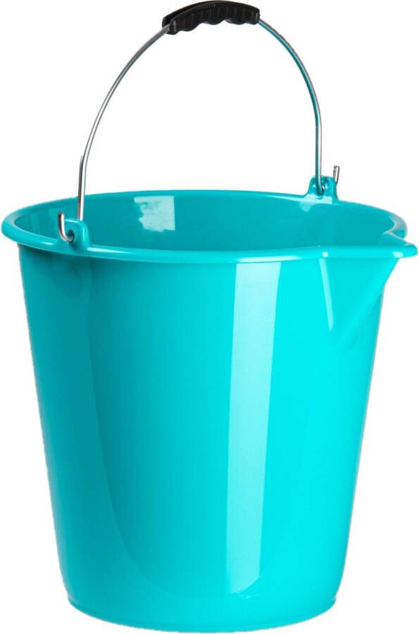 Forte Plastics Set van 2x stuks kunststof huishoud emmers met schenktuit blauw 12 liter Schoonmaak emmers