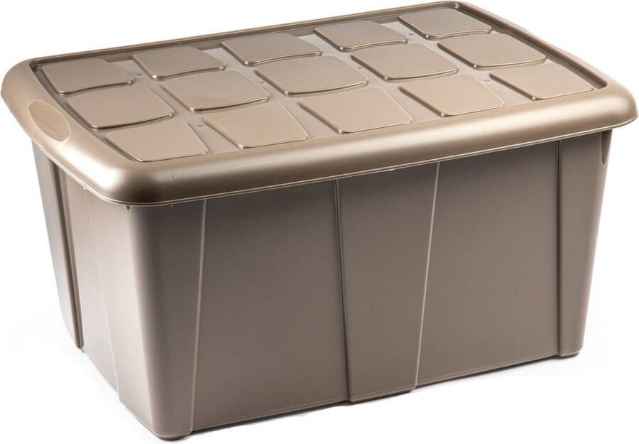 Forte Plastics Plasticforte Opslagbox met deksel Beige 60L kunststof 63 x 46 x 32 cm Opbergbox