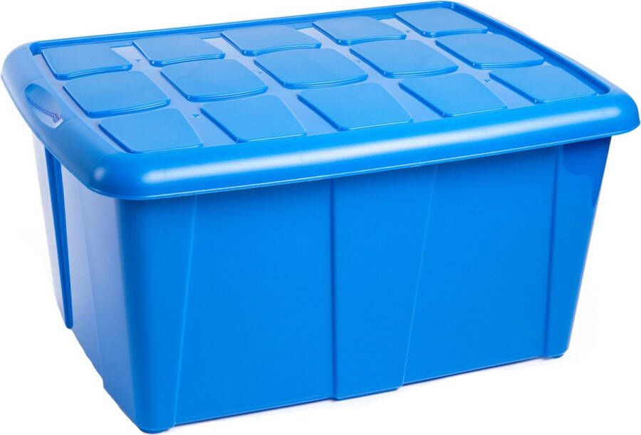 PLASTICFORTE Opbergbox met deksel Blauw 60L kunststof 63 x 46 x 32 cm