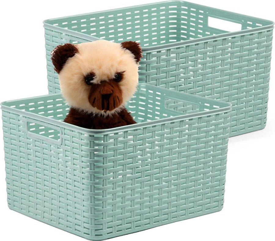 PLASTICFORTE Opbergmand 2x Kastmand rotan kunststof mintgroen 28 Liter 34 x 40 x 23 cm