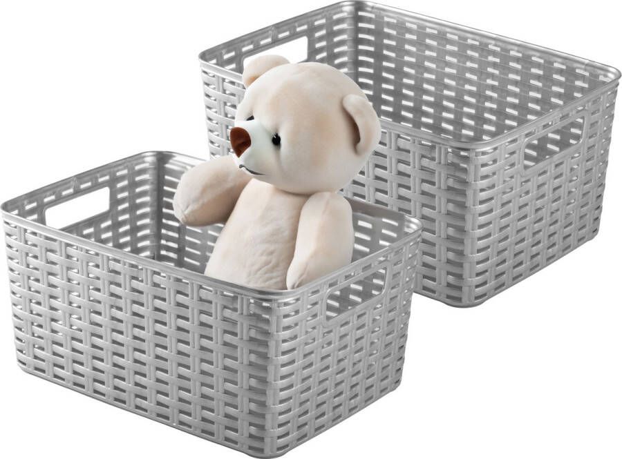 PLASTICFORTE Opbergmand 2x Kastmand rotan kunststof zilvergrijs 10 Liter 22 x 33 x 16 cm