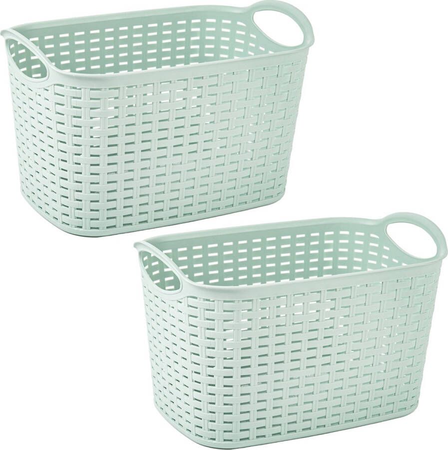 Forte Plastics Plasticforte opbergmand kastmandje 2x 6 4 liter mintgroen kunststof 19 x 29 x 18 cm Opbergbox