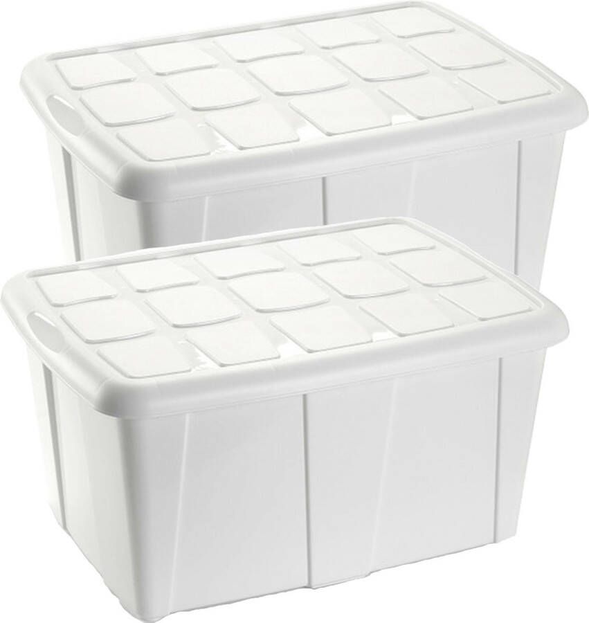 Forte Plastics Plasticforte Opslagbox met deksel 2x Wit 60L kunststof 63 x 46 x 32 cm Opbergbox