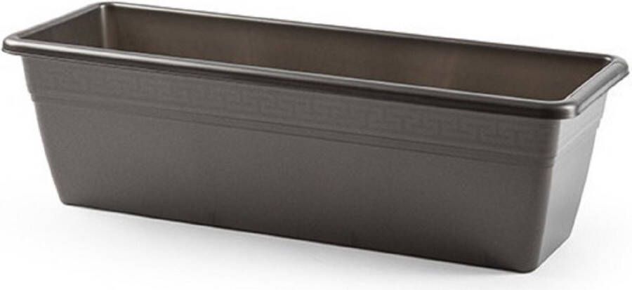 PLASTICFORTE Plantenbak antraciet grijs rechthoekig 50 x 17 x 15 cm Bloembakken plantenbakken voor binnen buiten