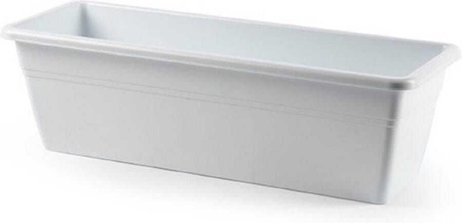 PLASTICFORTE Plantenbak lichtblauw wit rechthoekig 50 x 17 x 15 cm Bloembakken plantenbakken voor binnen buiten
