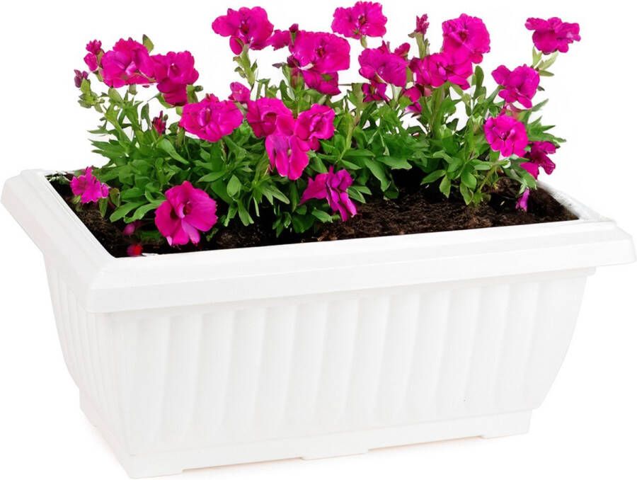 PLASTICFORTE Plantenpot bloempot Windsor buiten kunststof wit L33 x B18 x H15 cm plantenbak balkon terras tuin