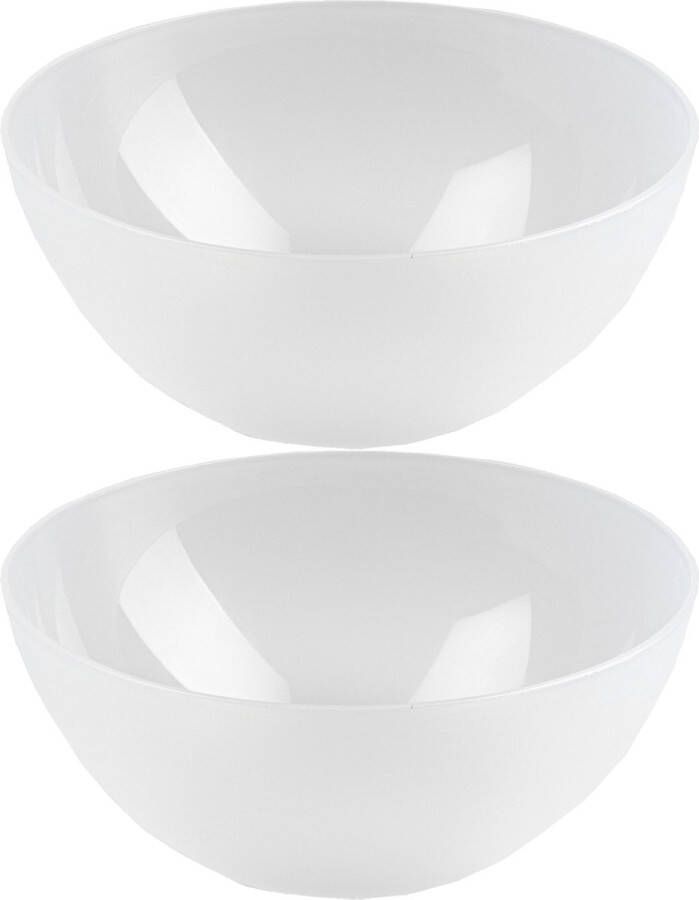 Forte Plastics Plasticforte Serveerschaal saladeschaal 2x stuks D20 x H8 cm kunststof transparant Serveerschalen