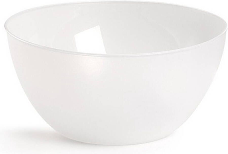 Forte Plastics 1x Grote saladeschalen kommen transparant 25 cm Sla salade serveren Schalen kommen van kunststof Keukenbenodigdheden