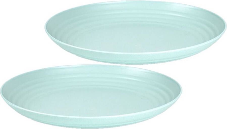 Forte Plastics Set van 2x stuks rond kunststof borden groen 25 cm Herbruikbaar Dinerbord Barbecuebord Campingbord