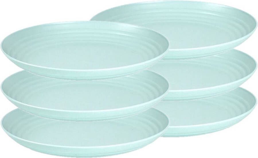 Forte Plastics Set van 6x stuks rond kunststof borden groen 25 cm Herbruikbaar Dinerbord Barbecuebord Campingbord