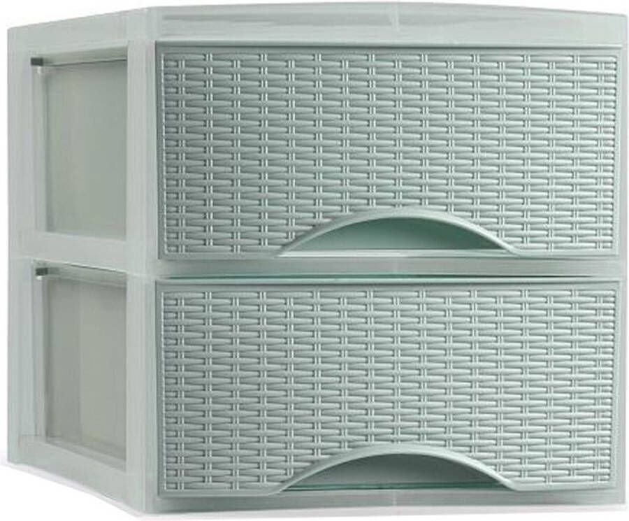 Forte Plastics PlasticForte Thuis kantoor organizer ladeblok 25 x 37 x 26 cm Kunststof Groen 2 lades Ladeblok