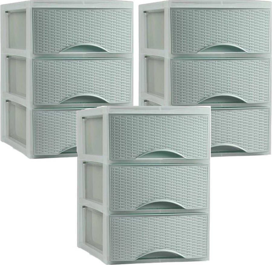 Forte Plastics PlasticForte thuis kantoor organizer ladeblok 3x 2 lades 25 x 37 x 26 cm opslag kunststof Ladeblok