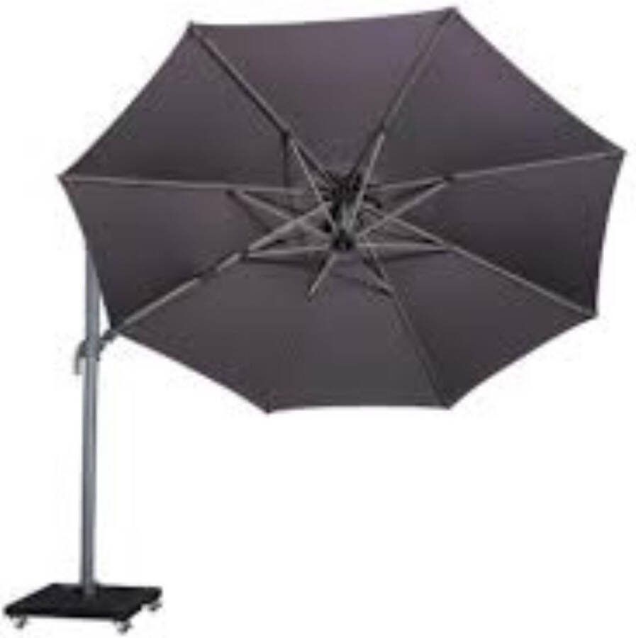 Platinum Parasol Laguna