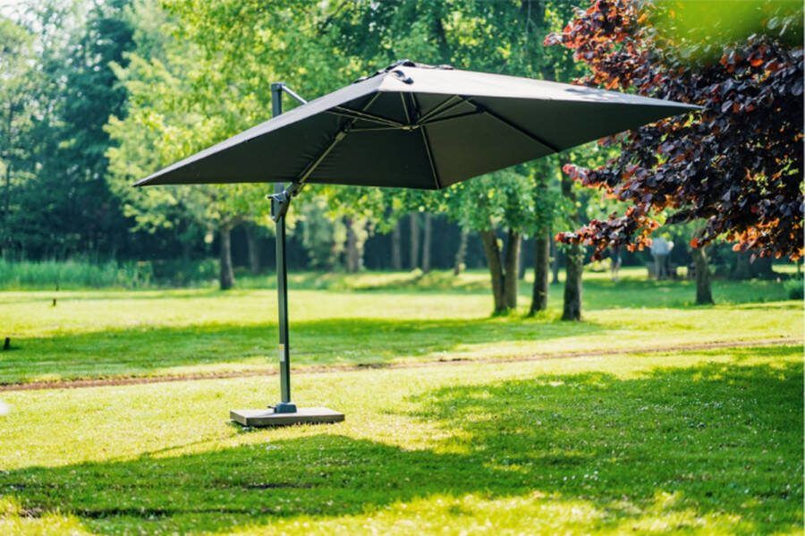 Platinum Parasol Laguna