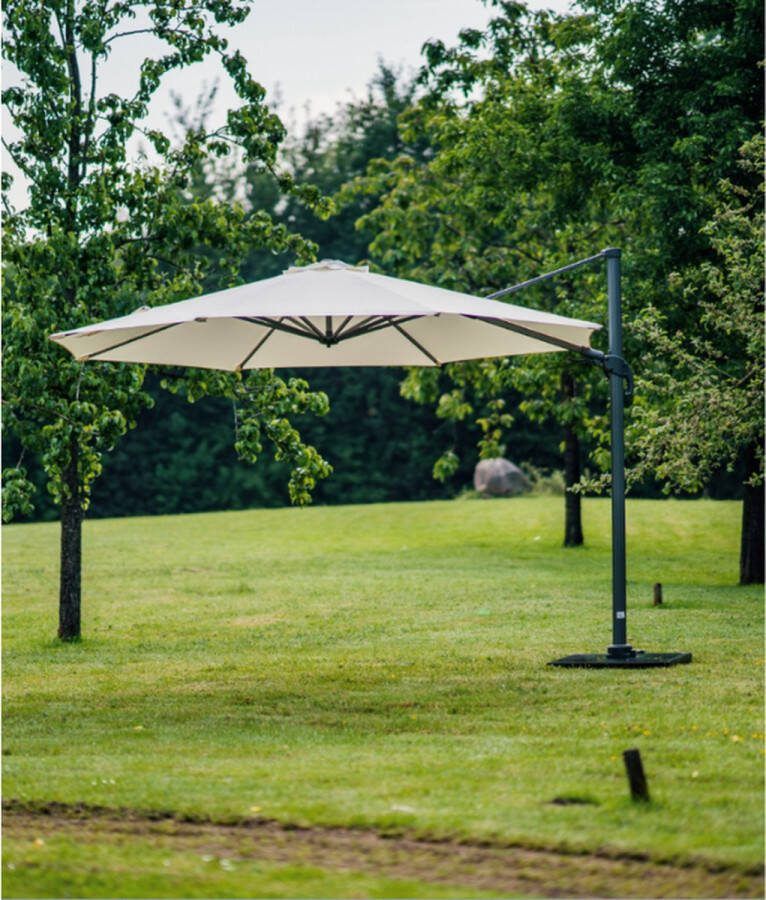 Platinum Parasol Laguna