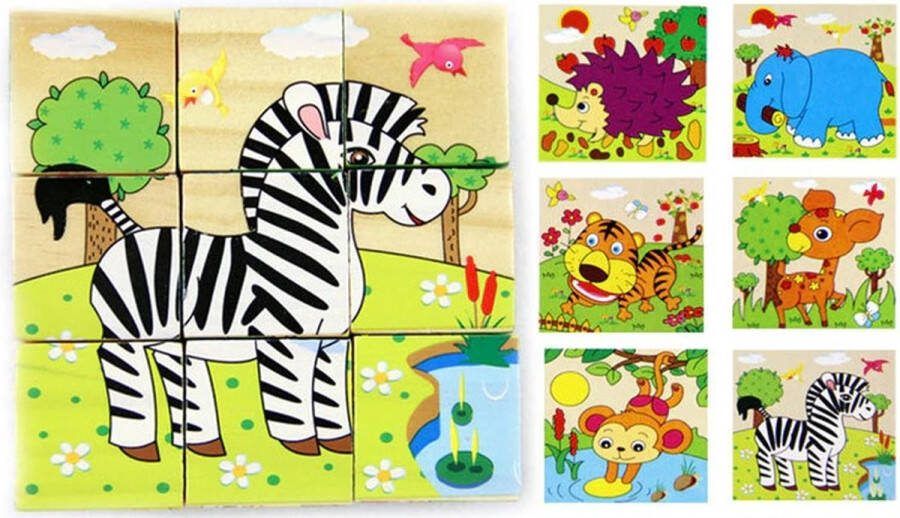 Playandgrow.NL Puzzelkubus Blokpuzzel Puzzelblokken Blokken 9 st. 6in1