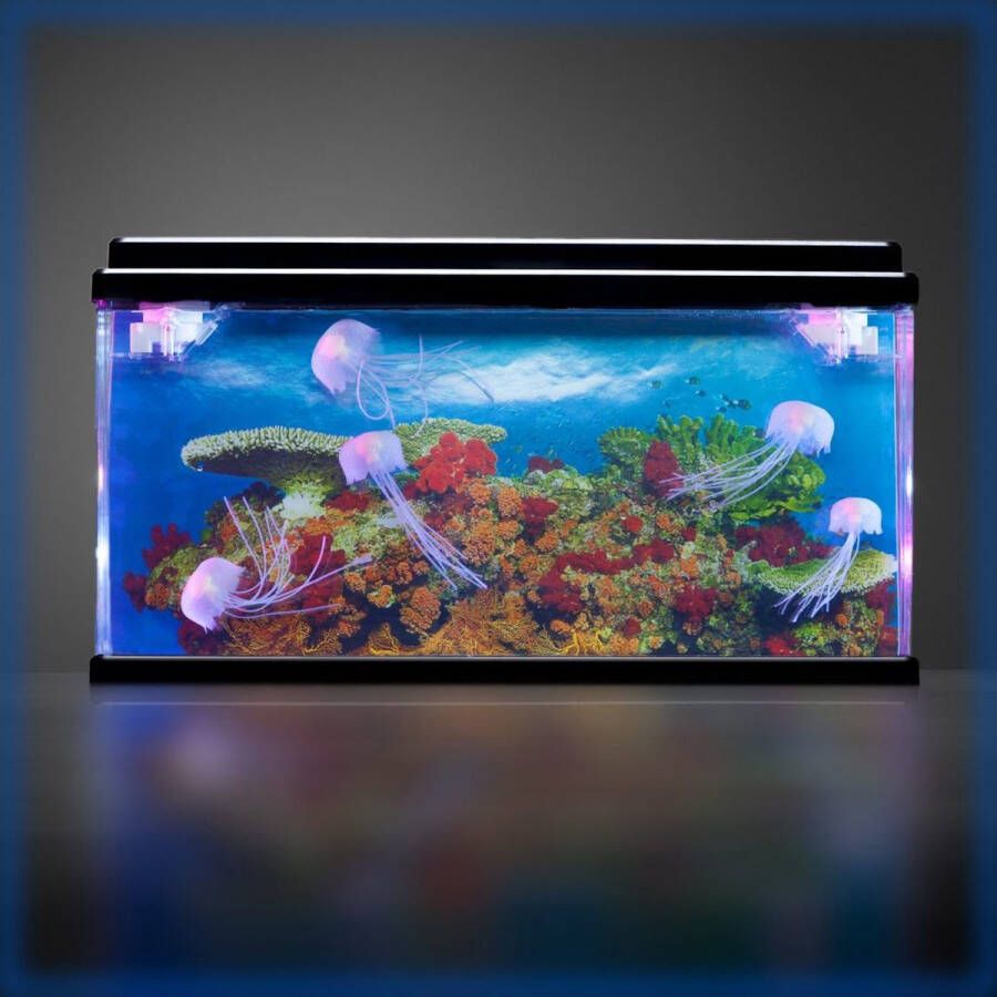 Playlearn Kwallen Aquarium Groot