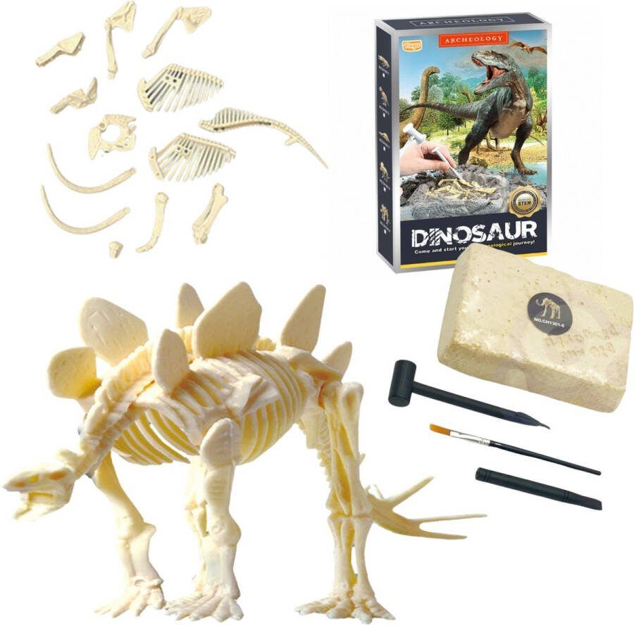 Playos Opgraven Dinosaurus Skelet #5 met Beitel Hamer en Kwastje Opgravingsset Archeologisch Speelgoed STEM Speelgoed Fossielen Wetenschappelijk Speelgoed Wetenschap en Techniek Educatief