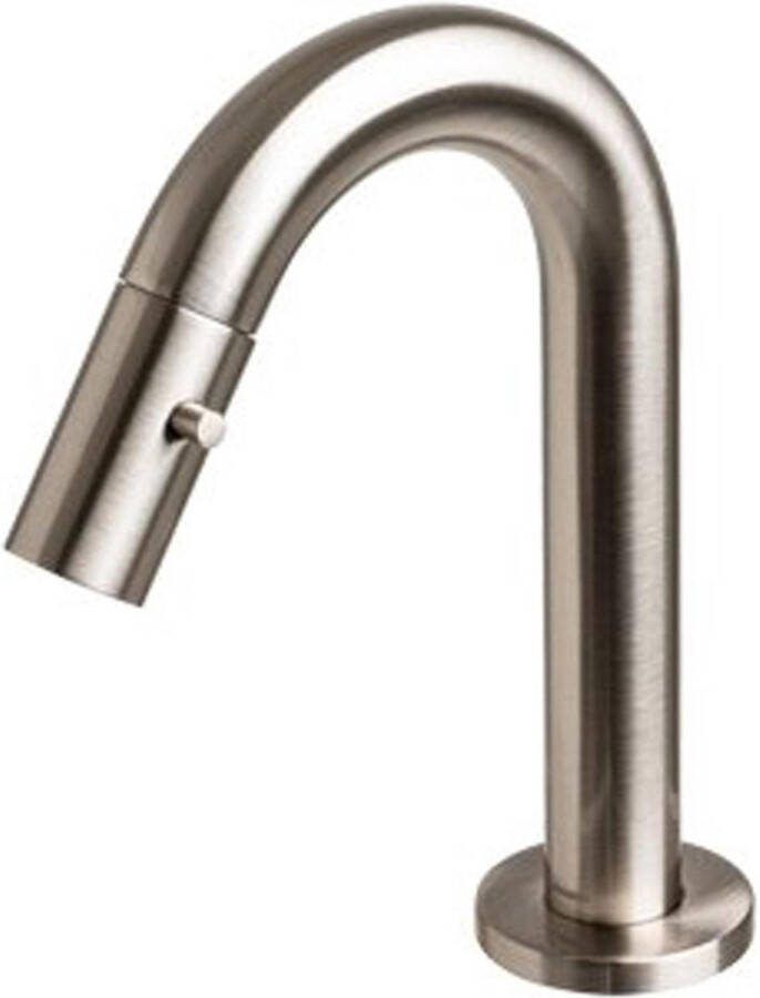 Plieger Lupo 2.0 Toiletkraan – Opbouw fonteinkraan – Laag model – Uitloop 10.1 cm – 10 jaar garantie – Geborsteld chroom