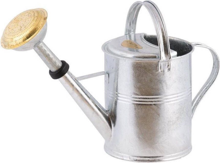 Merkloos Gieter Zilverkleurig Zink Met Broeskop 5 Liter