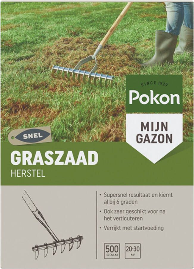 Pokon 3x Graszaad Herstel 500 gr