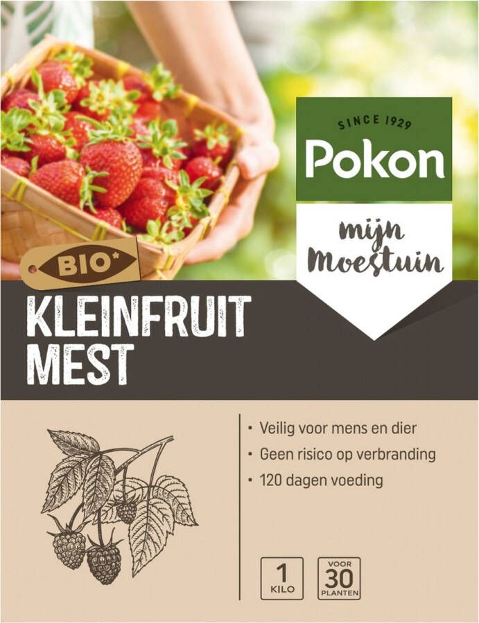 Pokon Bio Kleinfruit Mest 1kg Biologische Meststof Voor fruitplanten 120 dagen voeding