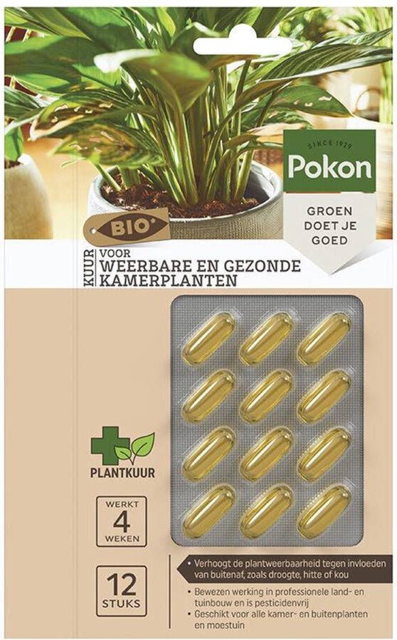 Pokon Bio Kuur voor weerbare en gezonde kamerplanten Capsules 12 stuks