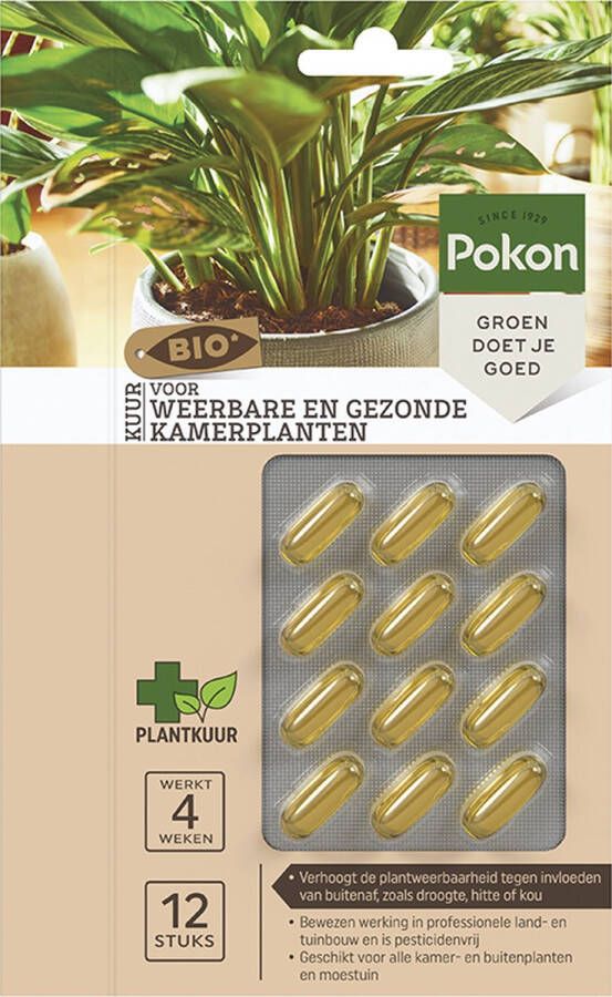 Pokon Bio Kuur voor Weerbare en Gezonde Kamerplanten Capsules 12 stuks Geschikt voor alle kamer- buitenplanten en moestuin
