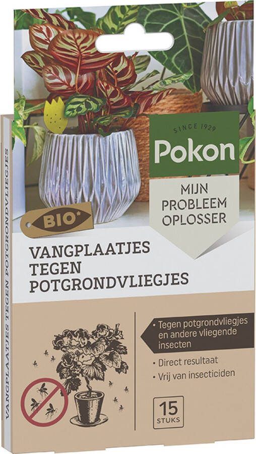 Pokon Bio Vangplaatjes tegen Potgrondvliegjes 15 stuks 1 vangplaatje per plant Vrij van pesticiden Rouwvliegjes bestrijden Vliegenvanger