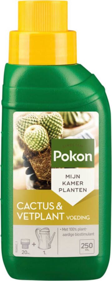 Pokon Cactus & Vetplant voeding 250ml Plantenvoeding 20ml per 1L water