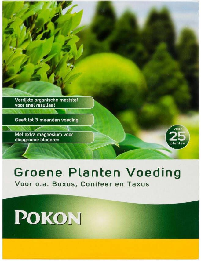 Pokon Groene Planten Voeding 1 kg