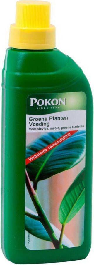 Pokon GROENE PLANTEN VOEDING 2 KEER 500 ML