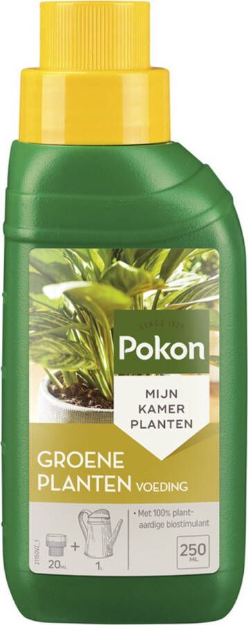 Pokon Groene Planten Voeding 250ml Plantenvoeding 20ml per 1L water