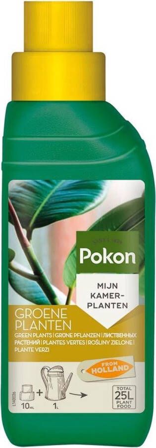 Pokon Groene Planten Voeding 250ml Plantenvoeding 10ml per 1L water