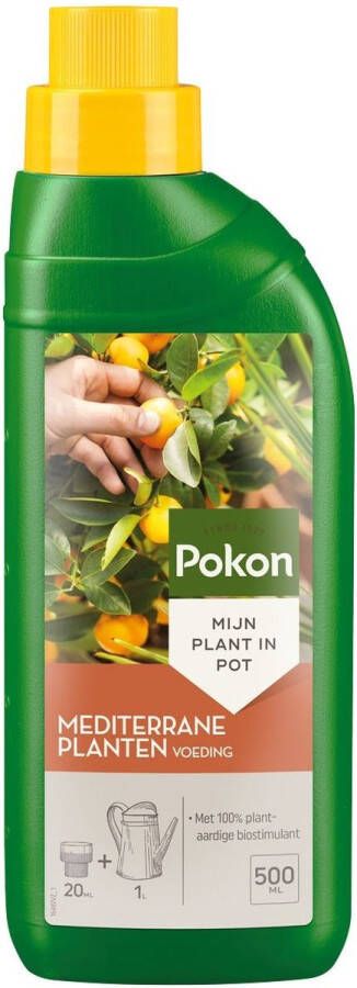 Pokon Mediterrane Planten Voeding 500ml Voor Citrus en Mediterrane planten