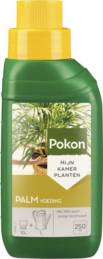 Pokon Palm Voeding 250ml Plantenvoeding 10ml per 1L water