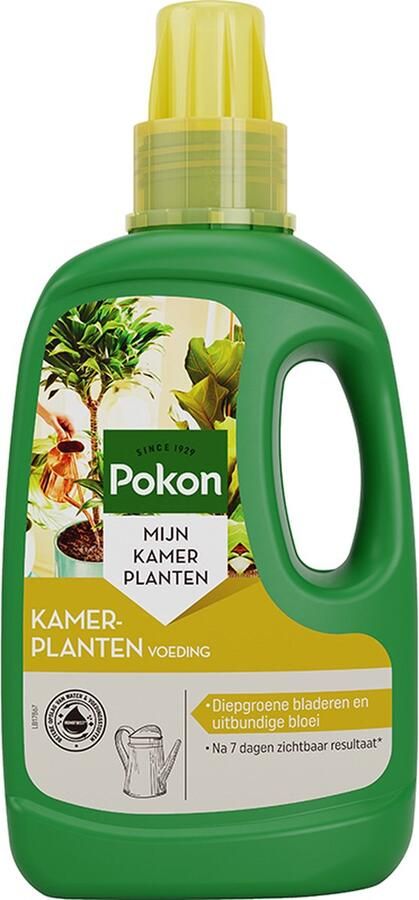 Pokon Kamerplanten Voeding 500ml Plantenvoeding 14ml per 1L water Kamerplantenvoeding