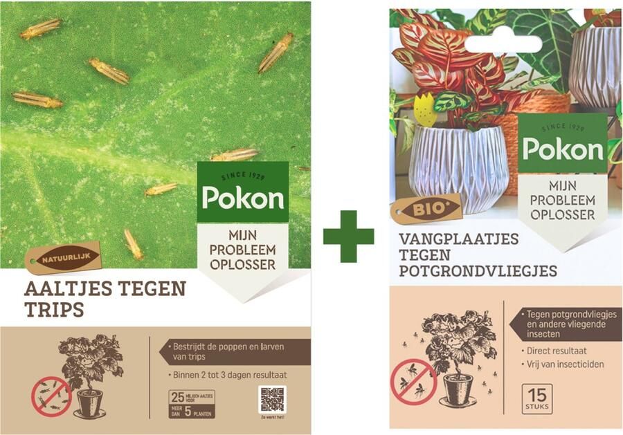 Pokon Pakket: Aaltjes tegen Trips 25 miljoen aaltjes voor 5 of meer planten + Bio Vangplaatjes Binnen 2 tot 3 dagen resultaat