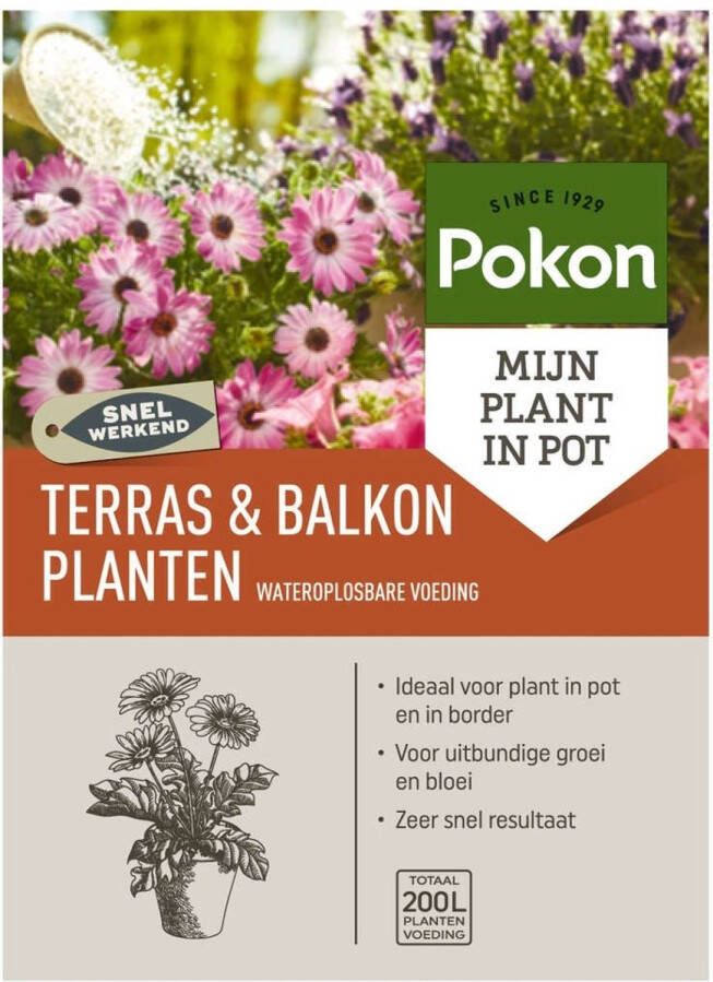 Pokon Terras & Balkon Planten Voeding 500gr Wateroplosbaar Stimuleert groei en bloei