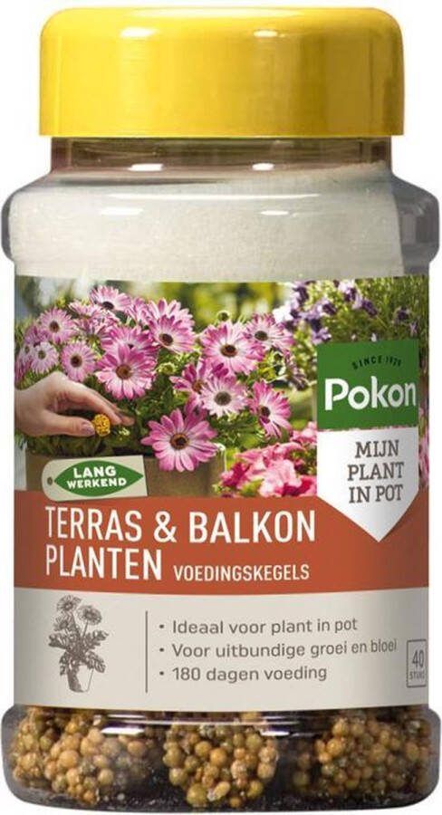 Pokon TERRAS & BALKON PLANTEN VOEDINGSKEGELS 2 KEER 40 STUKS