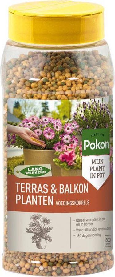 Pokon TERRAS & BALKON PLANTEN VOEDINGSKORRELS 2 KEER 750 GRAM