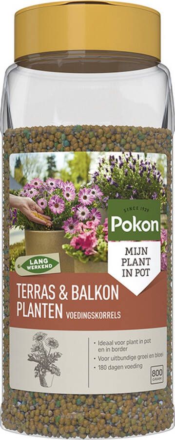 Pokon Terras & Balkon Planten Voedingskorrels 800gr Plantenvoeding Osmocote Voor plant in pot en border