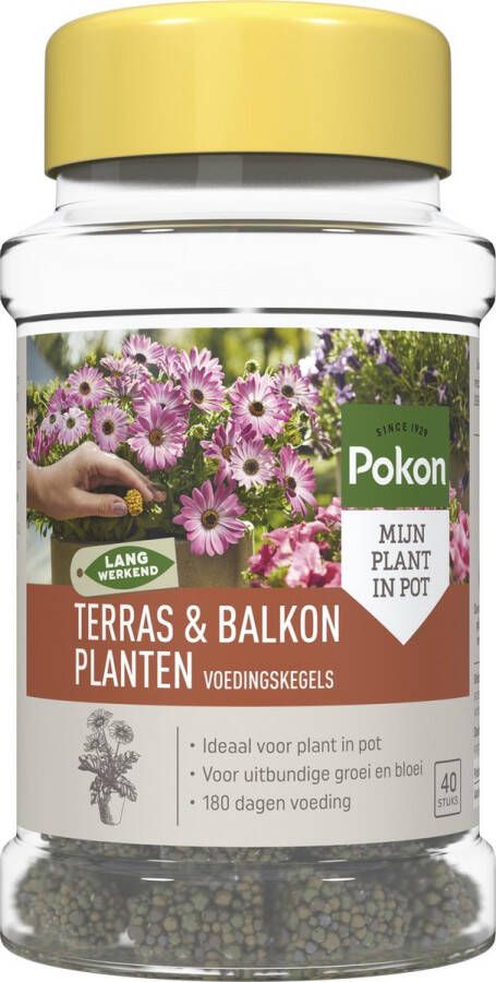 Pokon Voedingskegels voor Terras- & Balkonplanten 40 stuks 180 dagen voeding Plantenvoeding