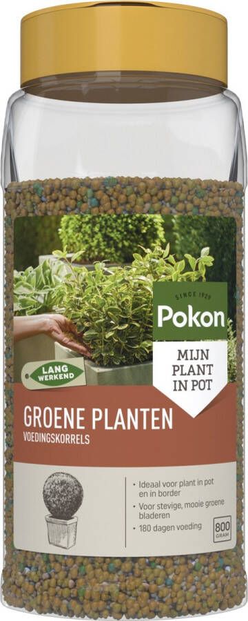Pokon Voedingskorrels voor Groene Planten 800gr 180 dagen voeding Plantenvoeding