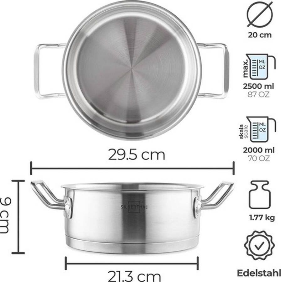 PolkaHome Kookpan inductie 20 cm roestvrij staal 2 5 l pan met deksel om op te hangen voor alle warmtebronnen ovenvast
